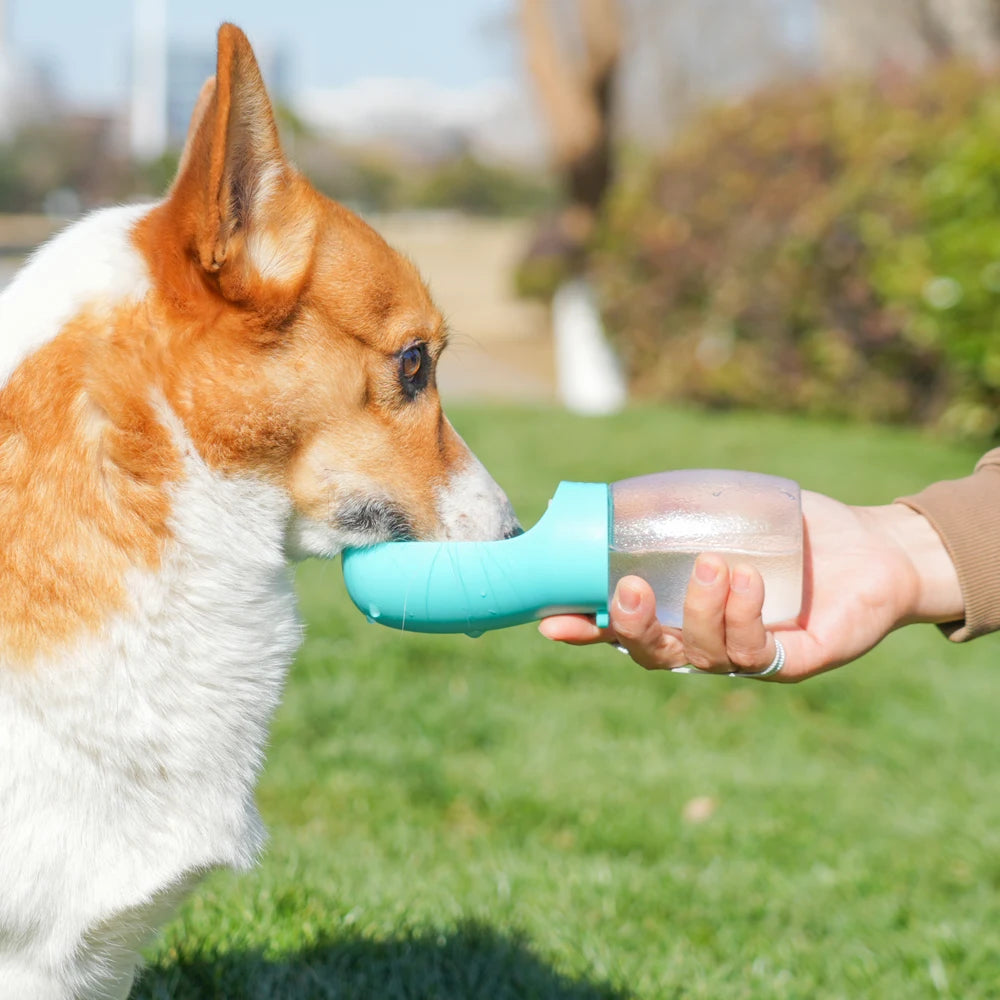 Portable dog water bottle 300 ml
