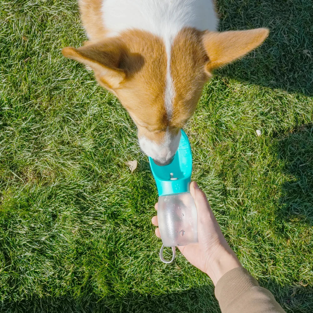 Portable dog water bottle 300 ml